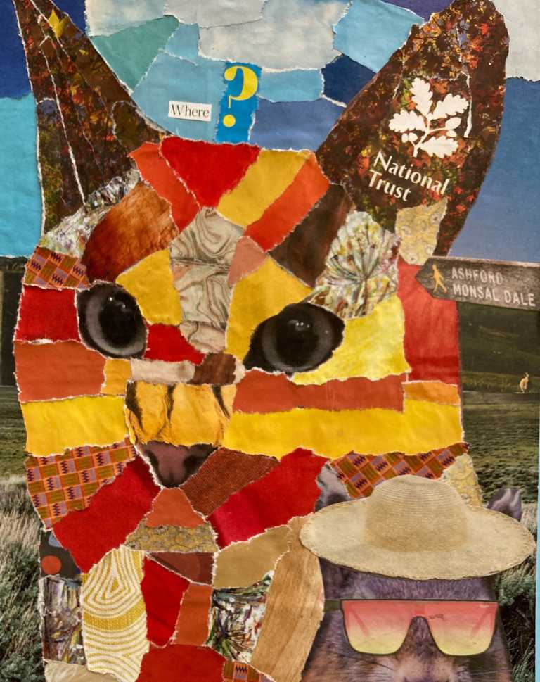 Cat collage using magazine paper