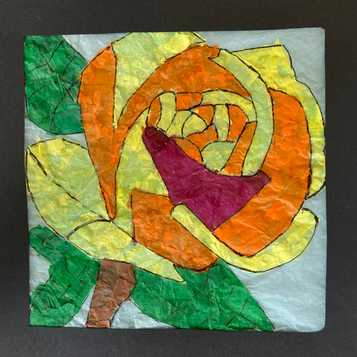 Rose in tissue on tracing paper