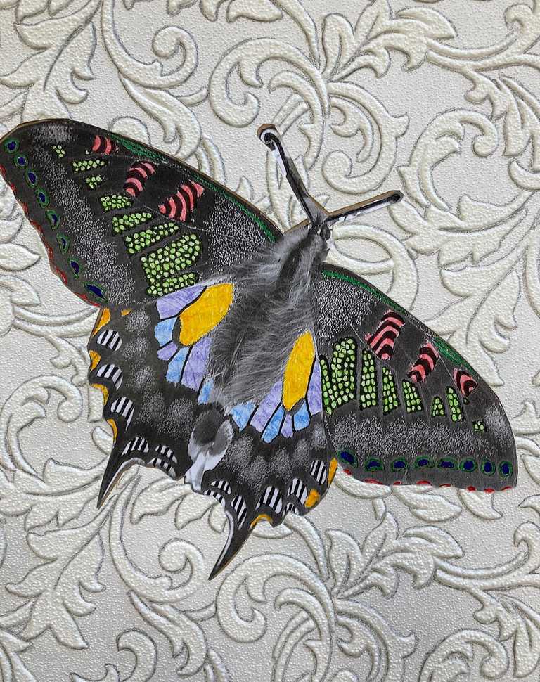 Butterfly on wallpaper with drawing and collage decoration